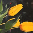 Tulipani