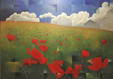Campi di papaveri