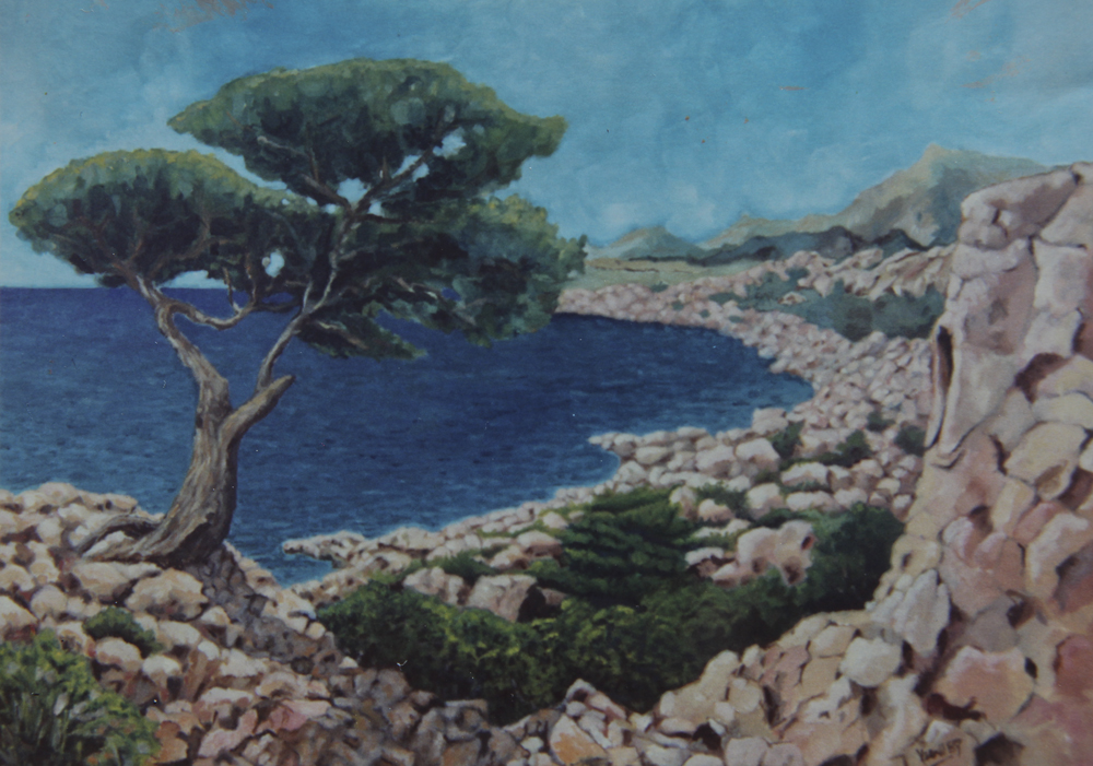 Costa sarda